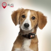 Dispozitiv de urmarire MyKi Pet GPS/GSM pentru animale de companie